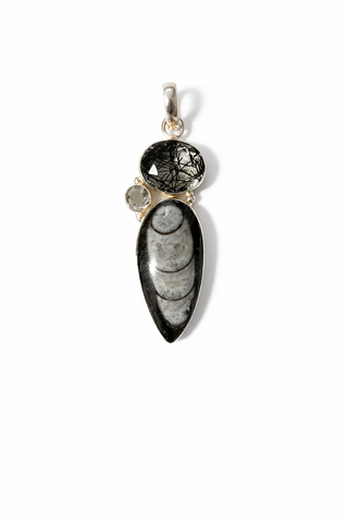 Black Rutilated Quartz, White Topaz and Orthoceras Fossil